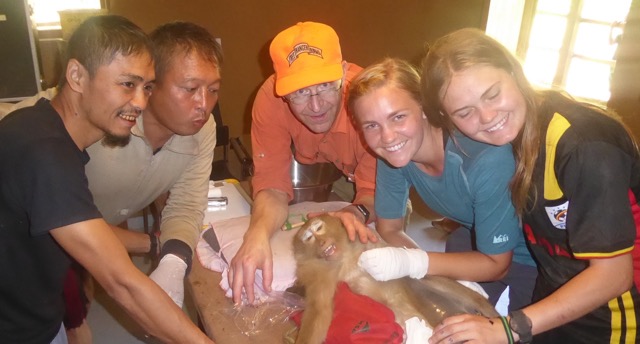 Monkey dentistry team and successful operation for Kid