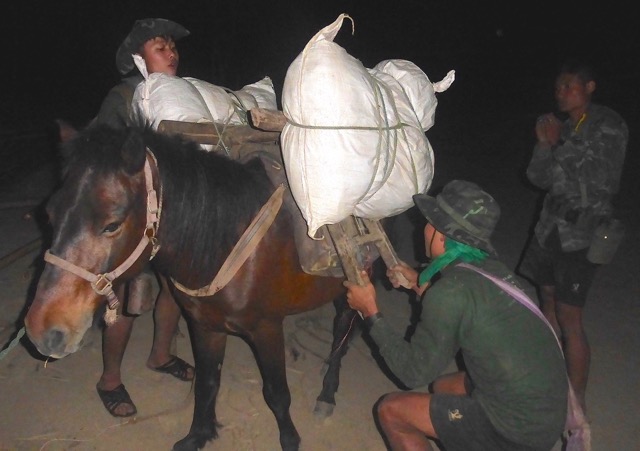 Mule packing