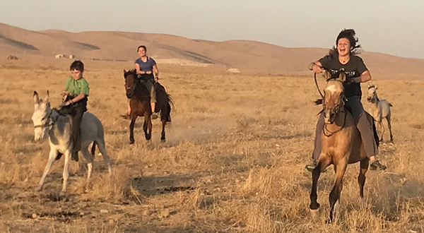 Peter, Sahale, and Suu ride again at Sinjar.