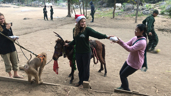 Christmas morning with Santa and a Burma horse/ Rudaw (Kurdish) the reindeer.