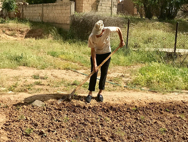A Yezidi man prepares a garden to start again in an abandoned Christian village. 