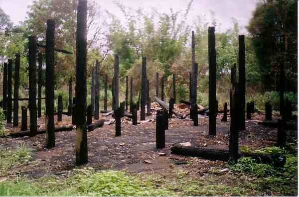 Building burned by the Burma Army