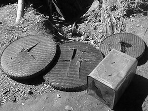 destroyed rice baskets