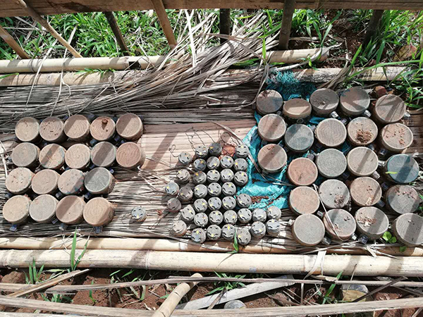 Burma Army M14 and M18/MM2 mines after clearing by the KIA.