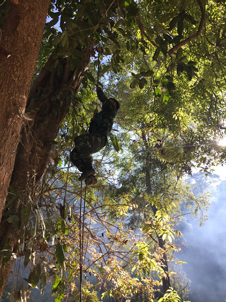 Rope climbing practice during training.