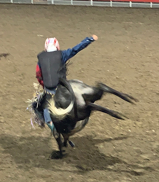 Pete at the Cody rodeo.