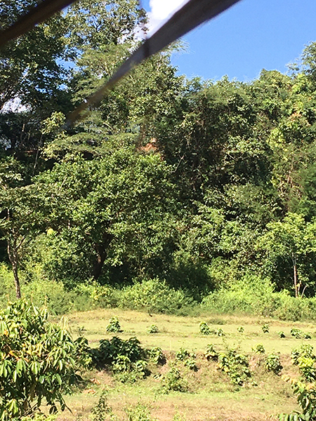 Burma Army camp, Wa Mee Poe Soe (the brown patch in the background), sits above a field that villagers had to abandon because of the proximity of the camp. This photo was taken from one of the farm huts that was later burned down by the Burma Army on Dec. 11.