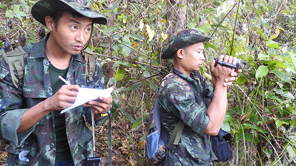 Rangers doing a recon of Maw Pu camp