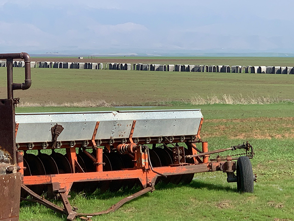 Tunnel materials in the background of this farm. The tunnels are to escape Turkish shelling.