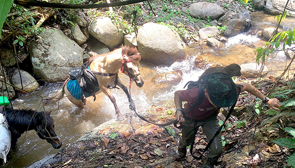 Navigating a creek crossing to deliver supplies in Karen State.