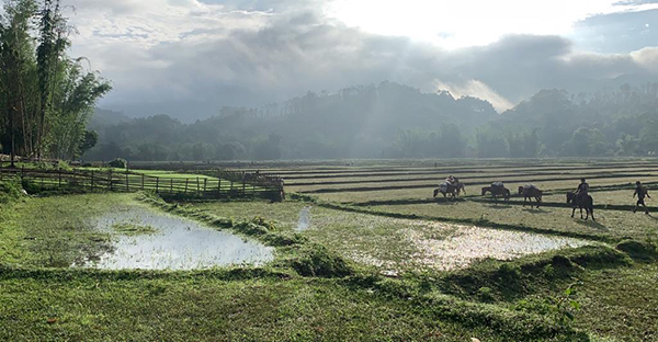 Morning beauty in Karen State, Burma.