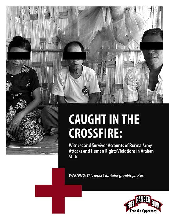 To download a copy of the report, please click the cover above. Please be advised that the report contains graphic photos.