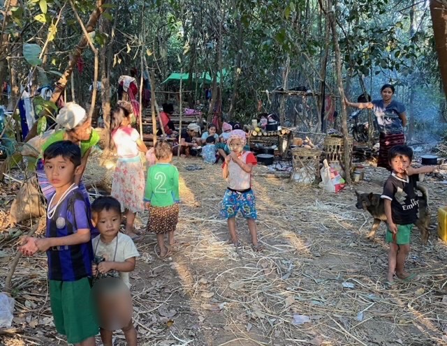 IDP families in the jungle