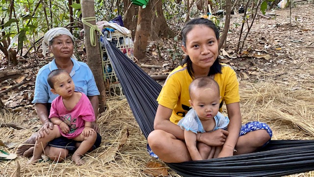 IDP families in the jungle