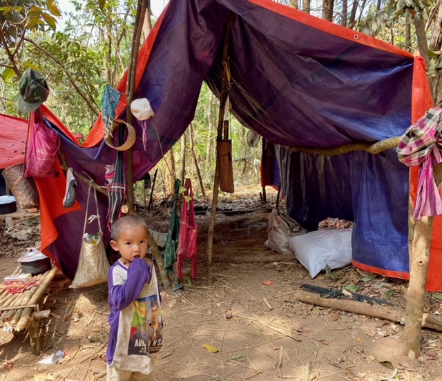 Temporary shelters built from tarps as they can get them