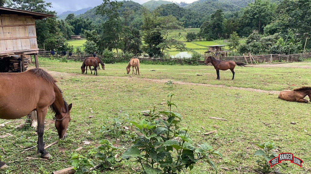 Horses complete the pastoral scene in Ser Mu Plaw Valley